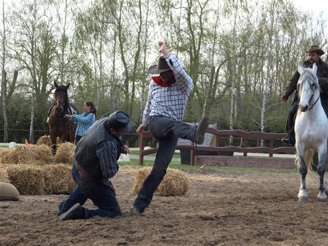 Western Show