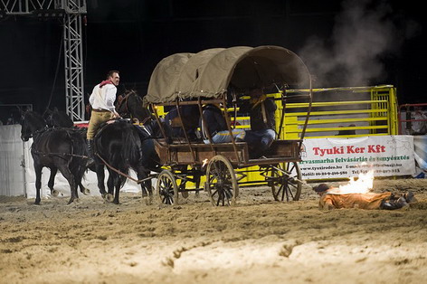 Western Show bemutat